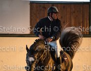 CAletto della Verdina TosTour2013- S5 3149 : Arezzo, Arezzo Equestrian Centre, Caletto della Verdina, Cavalli d'Italia, Toscana Tour 2013, foto di Stefano Secchi ©